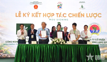 Thai Nguyen seeks to strengthen global tea industry connections